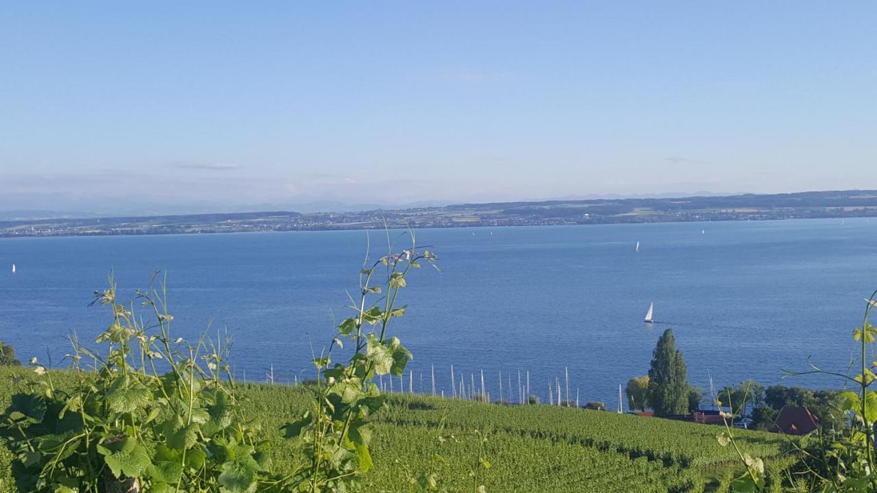 Studio Bodensee Дайзендорф Экстерьер фото